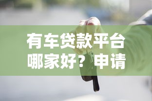 有车贷款平台哪家好？申请流程+避坑指南全解析