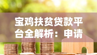 宝鸡扶贫贷款平台全解析：申请条件、流程及成功案例指南