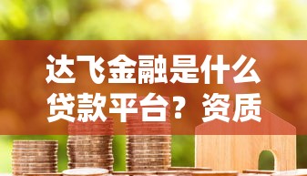 达飞金融是什么贷款平台？资质要求、申请流程全解析
