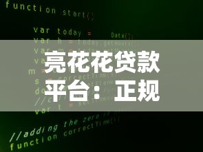亮花花贷款平台：正规低息快速借款攻略及用户真实评价