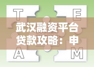 武汉融资平台贷款攻略：申请流程、条件及常见问题解析