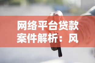 网络平台贷款案件解析：风险防范与法律纠纷应对指南