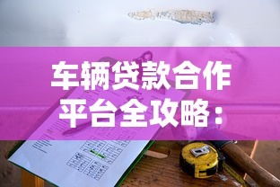 车辆贷款合作平台全攻略：如何选择最适合的贷款方案