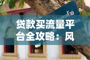 贷款买流量平台全攻略：风险、技巧与避坑指南