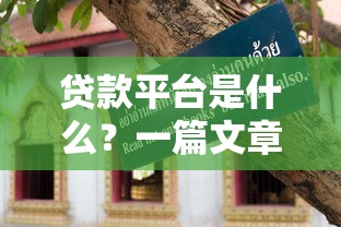 贷款平台是什么？一篇文章讲透申请流程、类型和避坑指南