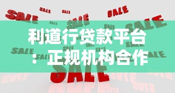 利道行贷款平台：正规机构合作，灵活还款方案