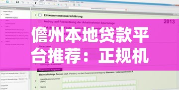 儋州本地贷款平台推荐：正规机构与申请攻略