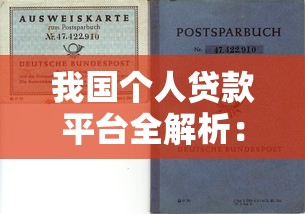 我国个人贷款平台全解析：类型、风险与选择指南