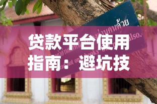 贷款平台使用指南：避坑技巧与安全提示