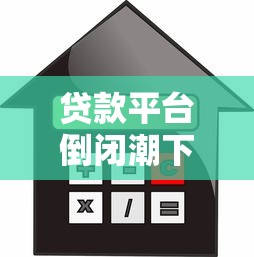 贷款平台倒闭潮下呆账风险激增 借款人如何应对？