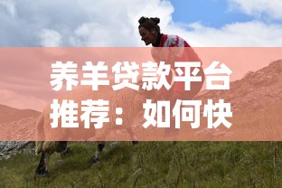 养羊贷款平台推荐：如何快速申请低息养殖资金