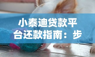 小泰迪贷款平台还款指南：步骤详解与常见问题解答