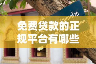 免费贷款的正规平台有哪些？避坑指南全解析