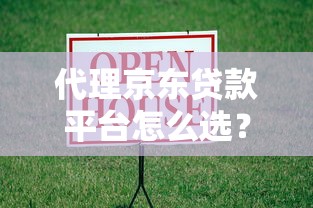 代理京东贷款平台怎么选？正规低息渠道全解析