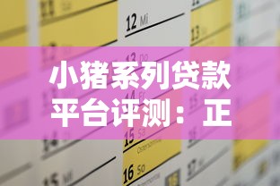 小猪系列贷款平台评测：正规低息、快速放款，满足你的资金需求！