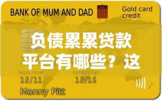 负债累累贷款平台有哪些？这6类靠谱渠道可应急