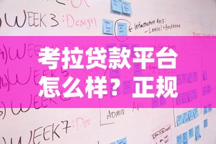 考拉贷款平台怎么样？正规贷款服务与申请流程全解析