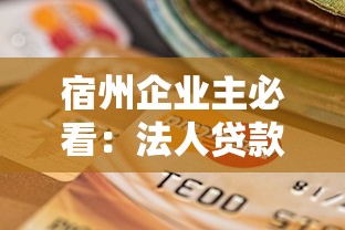 宿州企业主必看：法人贷款平台选择指南与正规机构推荐