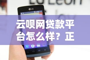 云呗网贷款平台怎么样？正规靠谱吗？详细解析