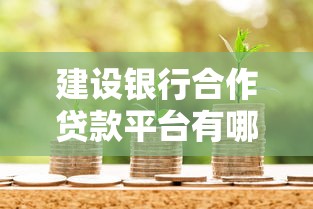 建设银行合作贷款平台有哪些？正规低息渠道清单解析