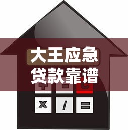 大王应急贷款靠谱吗？利率、额度、申请流程详解