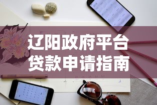 辽阳政府平台贷款申请指南：条件、流程、注意事项全解析