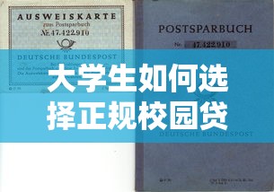 大学生如何选择正规校园贷款平台？五大风险提示与避坑指南
