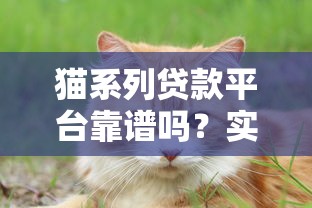 猫系列贷款平台靠谱吗？实测5大产品特点与避坑指南
