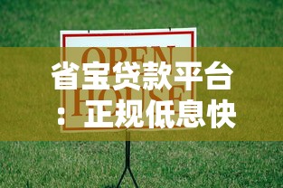 省宝贷款平台:正规低息快速借款攻略指南 省宝贷款平台:正规低息快速借款攻略指南