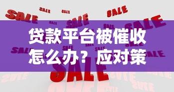 贷款平台被催收怎么办？应对策略与法律权益解析
