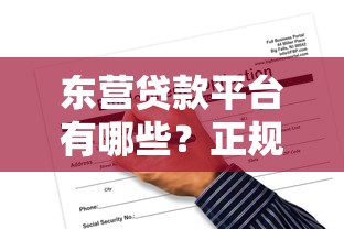 东营贷款平台有哪些?正规渠道选择与申请攻略 东营贷款平台有哪些?正规渠道选择与申请攻略