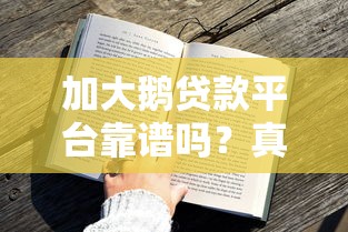 加大鹅贷款平台靠谱吗？真实用户评测+申请流程全解析