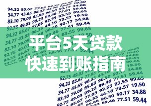 平台5天贷款快速到账指南：应急资金周转全攻略