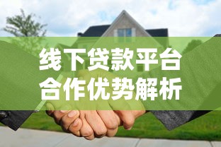 线下贷款平台合作优势解析与操作指南