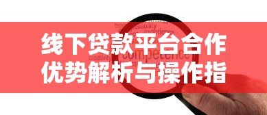 线下贷款平台合作优势解析与操作指南