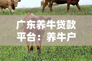 广东养牛贷款平台：养牛户必看的低息贷款申请指南