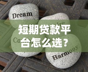 沈阳低息贷款平台推荐及申请指南