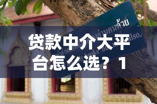 贷款中介大平台怎么选？10年从业者教你避坑指南