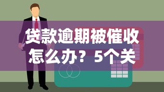 贷款逾期被催收怎么办？5个关键步骤避免征信受损
