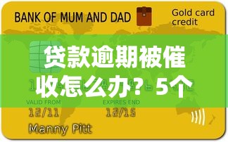 贷款逾期被催收怎么办？5个关键步骤避免征信受损