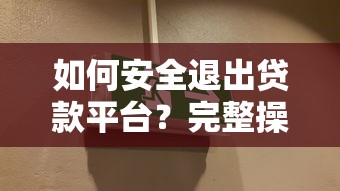 如何安全退出贷款平台？完整操作步骤与注意事项
