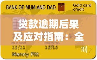贷款逾期后果及应对指南：全面解析平台催收流程