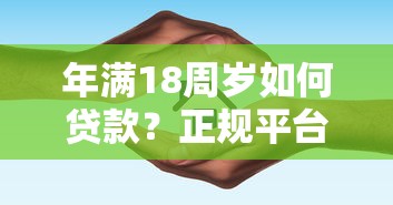 年满18周岁如何贷款？正规平台选择指南