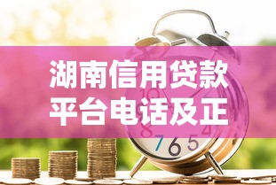 湖南信用贷款平台电话及正规渠道查询指南