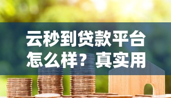 云秒到贷款平台怎么样？真实用户评测与申请流程详解