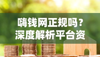 嗨钱网正规吗？深度解析平台资质与用户评价