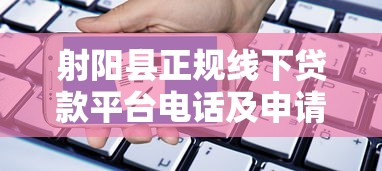 射阳县正规线下贷款平台电话及申请指南