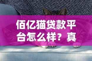 佰亿猫贷款平台怎么样？真实用户评价与产品解析