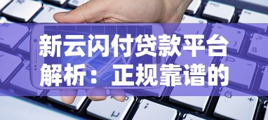 新云闪付贷款平台解析：正规靠谱的借贷服务指南