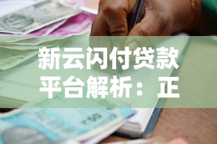 新云闪付贷款平台解析：正规靠谱的借贷服务指南
